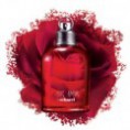 CACHAREL AMOR AMOR EAU DE TOILETTE 100 ML SPRAY